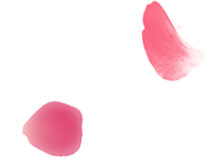 img-slider3-021.png