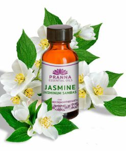 JASMINE 600x600 1