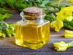 primrose essential oil for bloating oil