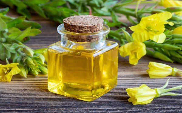 primrose essential oil for bloating oil