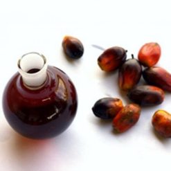 PALM KERNEL BLACK OIL 100ML