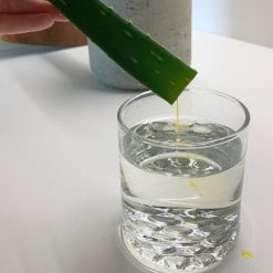 ALOE VERA GEL RAW 100ml