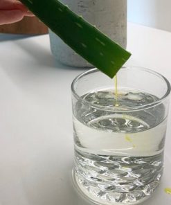ALOE VERA GEL RAW 100ml