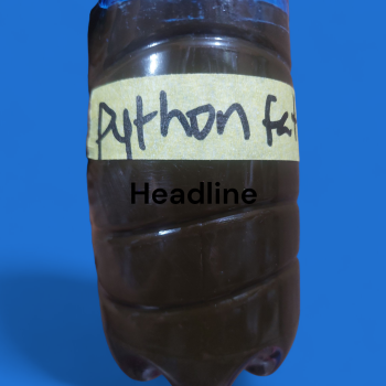 PYTHON FAT OIL 50ML For Stretchmark n Scars,keloid