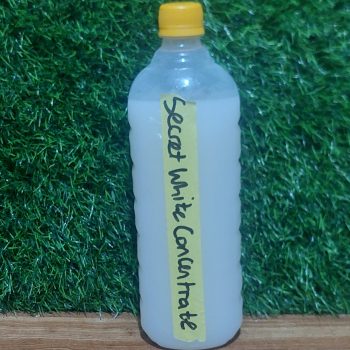 SECRET WHITE STRONG WHITENING CONCENTRATE 1Litre FAST ACTION