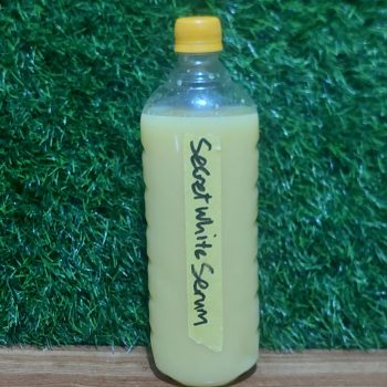 SECRET WHITE STRONG WHITENING SERUM 1 Litre FAST ACTION To Promix With your Skincare Products