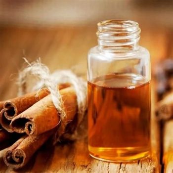 CINNAMON OIL 50ml