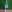 LACTIC ACID 50ML